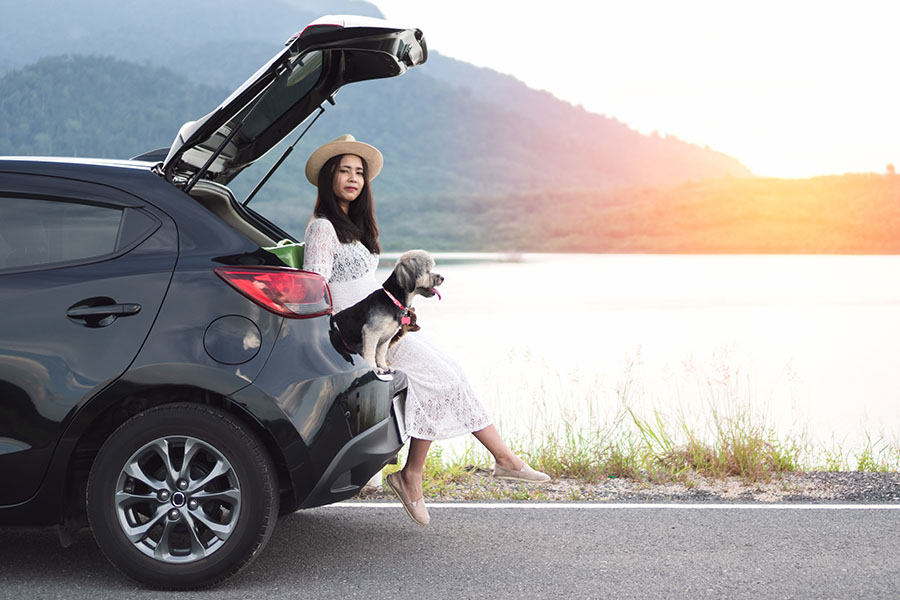 Personal Insurance - Happy Young Woman Traveler Sitting in the Hatchback of Her Car with Dogs at a Lake at Sunset